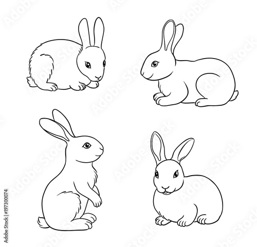 Set of Rabbits in contours - vector illustration
