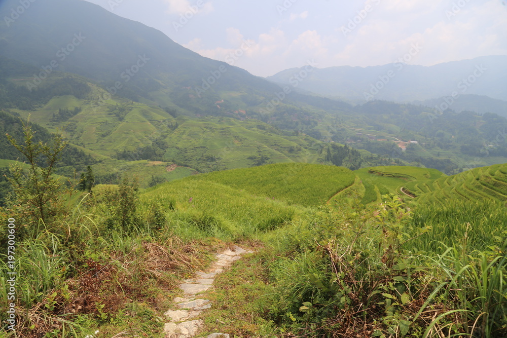 Dragon Backbone Rice Terraces in China 