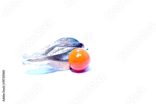 phisalis exotic fruit on white photo