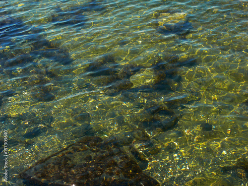 sea water, grass on the bottom, transparent waves