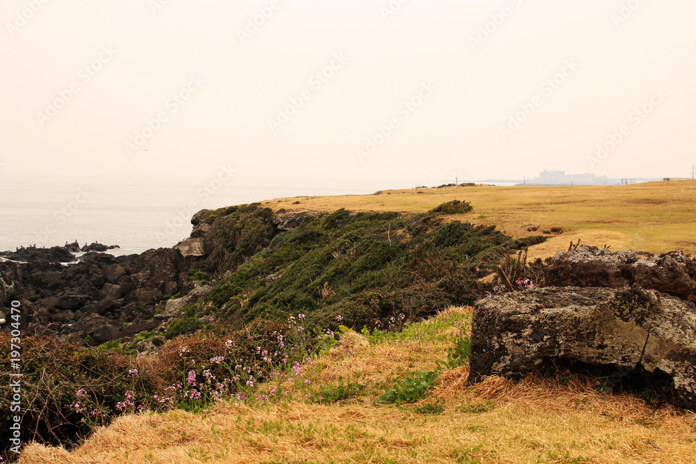 Obraz premium Beautiful Scenery of Jeju Island / Scenery Picture of Jeju Island, Korea