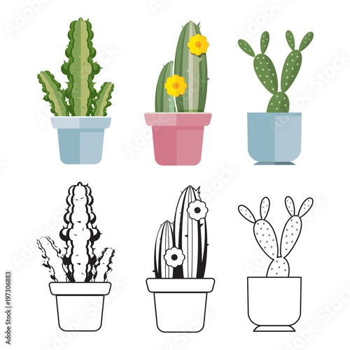 Hand drawn cartoon flat cactus set photo