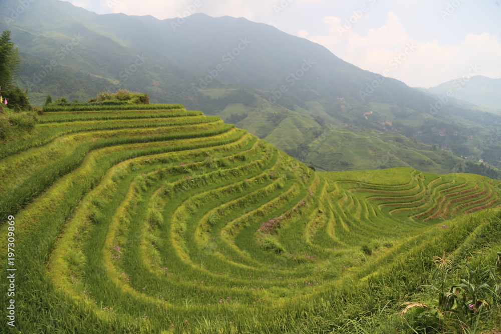 Dragon Backbone Rice Terraces in Guilin, China