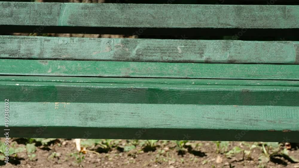 Disappointed Person Leaving Flowers on the Park Bench Renounce Dating Abandon Disappointed Person Leaving Flowers on the Park Bench Renounce Dating Abandon