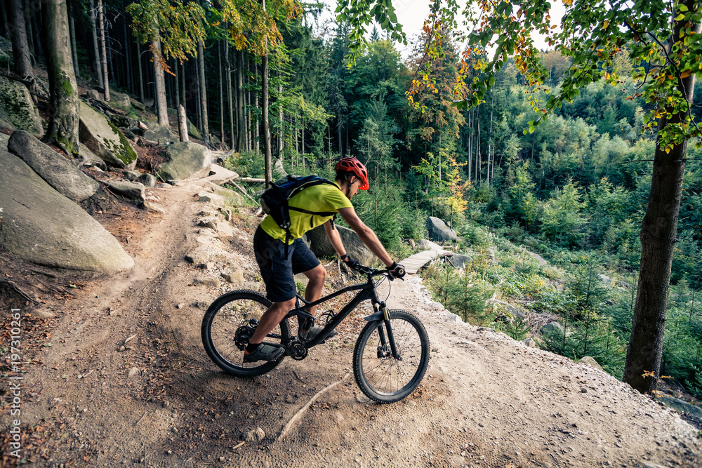 Obraz premium Mountain biker riding cycling in autumn forest