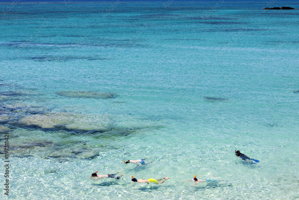 Fototapeta premium Snorkeling in tropical water
