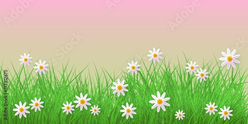 Spring grass and chamomiles border on pink background with empty space for text - horizontal banner for Easter greeting card and congratulation poster. Cartoon vector illustration. © sabelskaya
