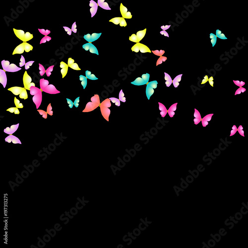 Summer Background with Colorful Butterflies. Simple Feminine Pattern for Card  Invitation  Print. Trendy Decoration with Beautiful Butterfly Silhouettes. Vector Background with Moth