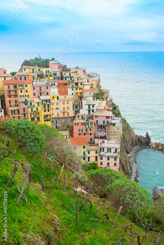The small traditional Italian village of Manarola with colorful houses and vineyards now a popular tourist destination in Cinque terre, Liguria, Italy