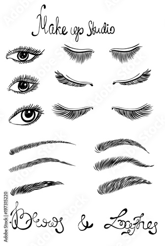 Illustration of beautiful female long eyelashes and brows