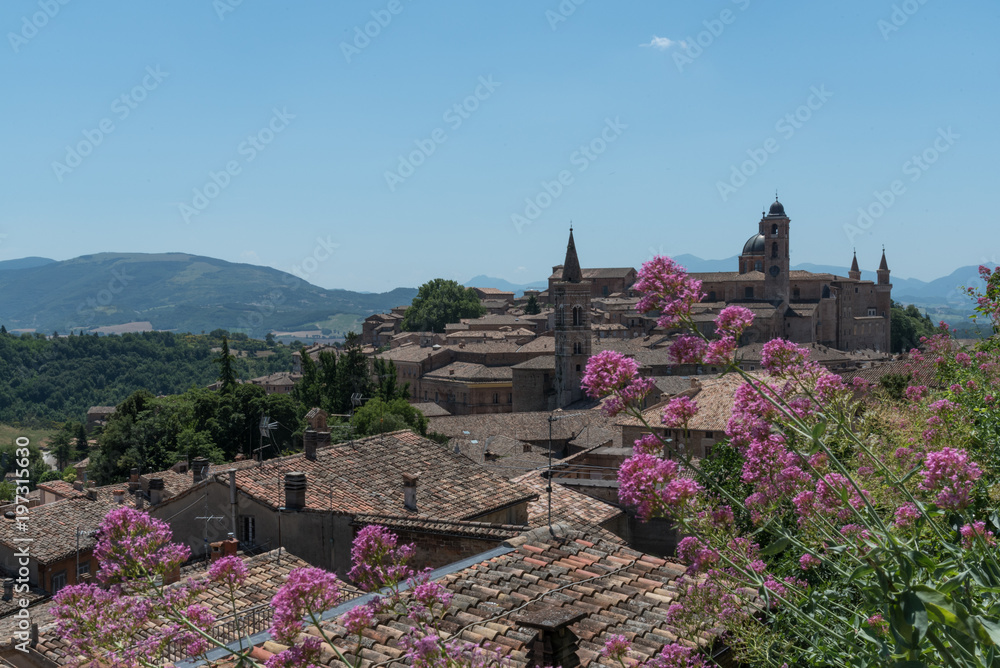 Fototapeta premium primavera in centro italia