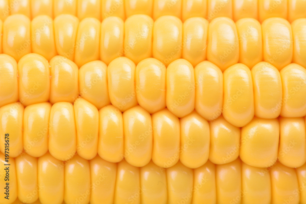 Fresh corn texture