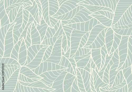 Natural Pattern Abstract Curve shape Leaf Pastel Green colour Background
