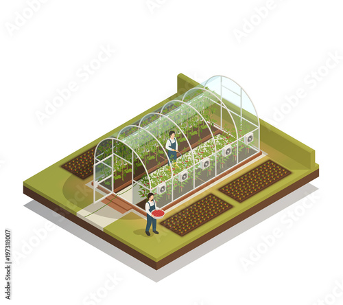 Tunnel Shaped Greenhouse Isometric Composition 