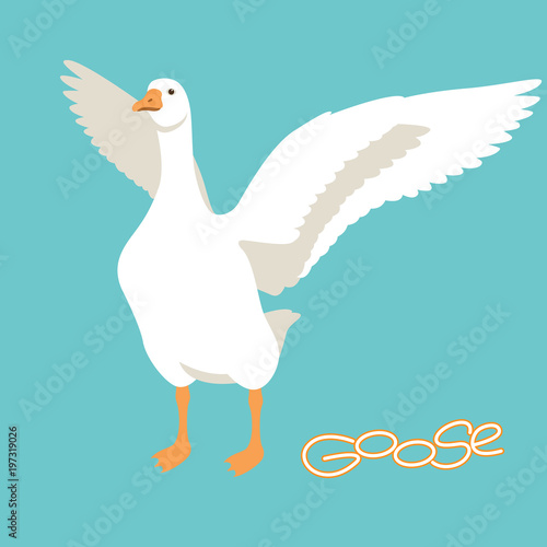 goose vector illustration flat style front side