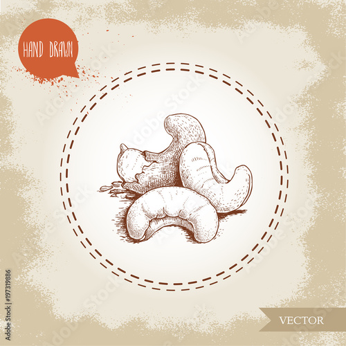 Cashew nuts sketch hand drawn. Roasted nuts composition isolated on old background. Healthy eco food vector illustration.