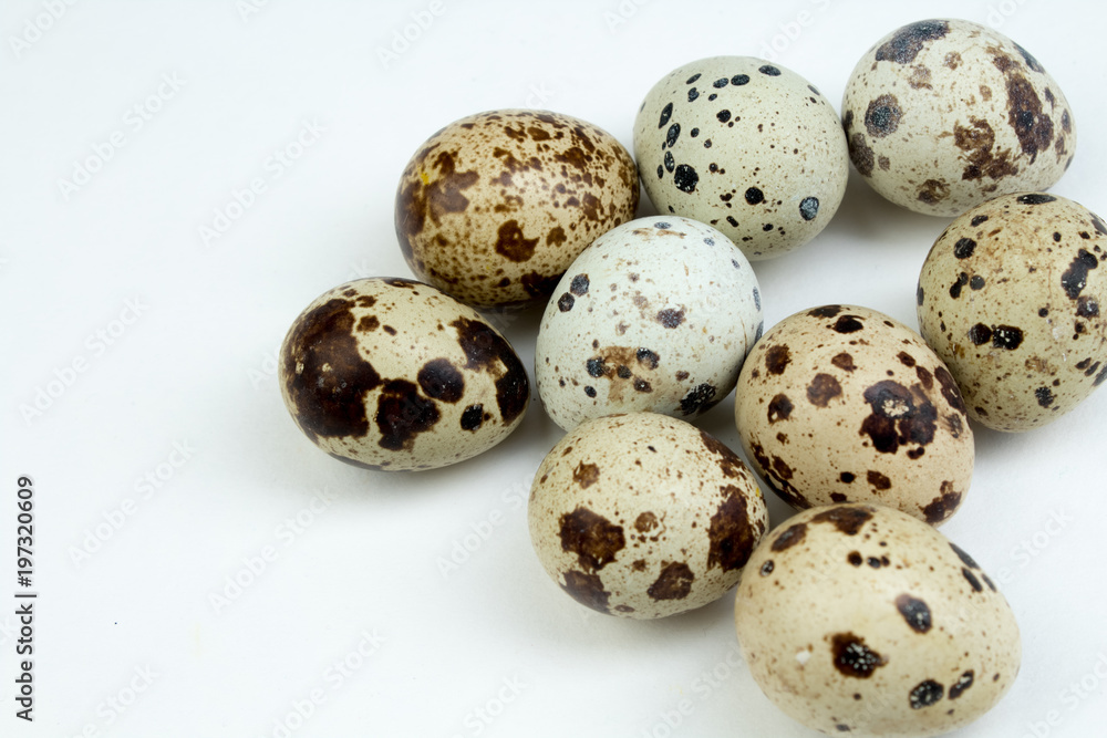 Eggs quail isolated on white background. Copy space for text. Top view