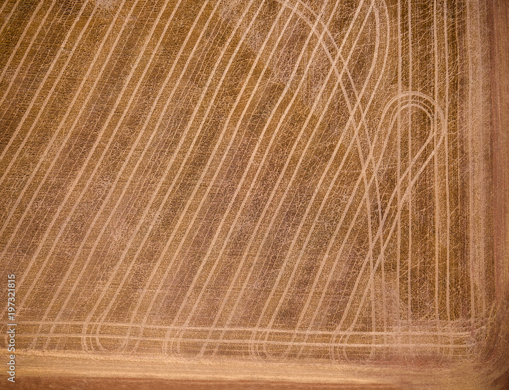 Aerial view of a dry wheat field in Australia 