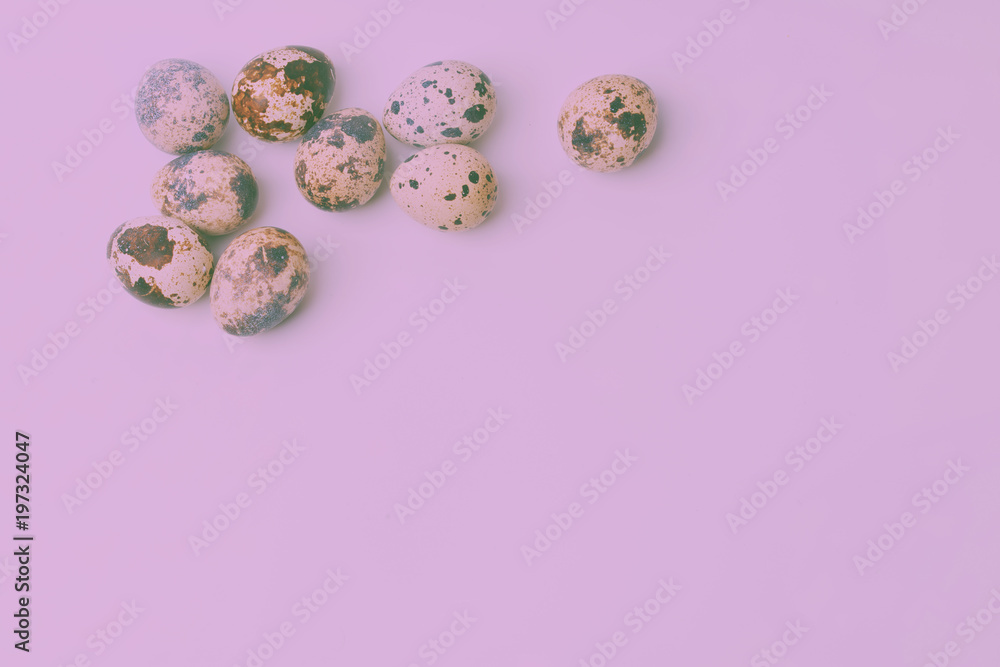 quailed eggs arranged on violet background. Top view, flat lay. Minimal concept. Pastel colors.