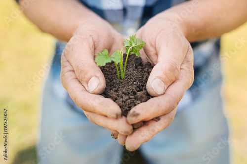 High fertility. Close up of soil in hands of a pleasant man sitting on the knees in the garden