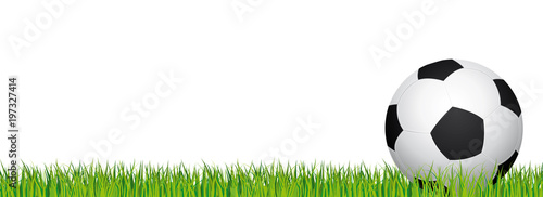 Soccer banner. Football stadium grass and white background. Vector header with soccer ball in the right side.