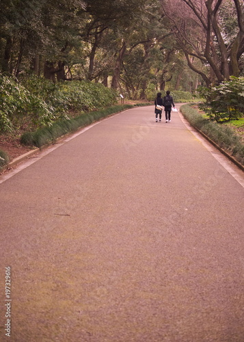 Wallpaper Mural park Torontodigital.ca