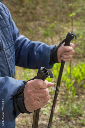 Wrinkled old hands of an elderly woman or a man on a walk with sticks for scandinavian or nordic walk against the background of a beautiful summer nature landscape active lifestyle concept