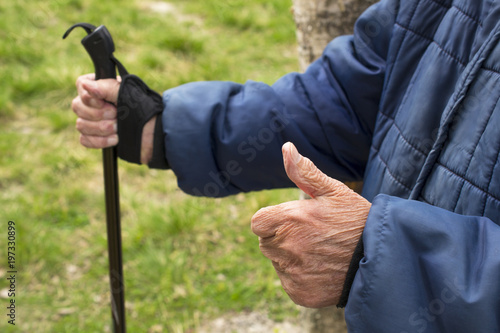 Wrinkled old hands of an elderly woman or a man on a walk with sticks for scandinavian or nordic walk against the background of a beautiful summer nature landscape active lifestyle concept