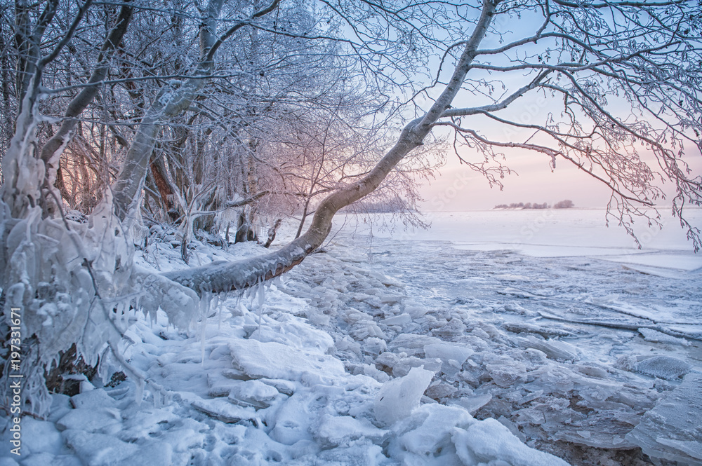 Cold winter landscape with snow, ice and tree Cold winter landscape with snow, ice and tree