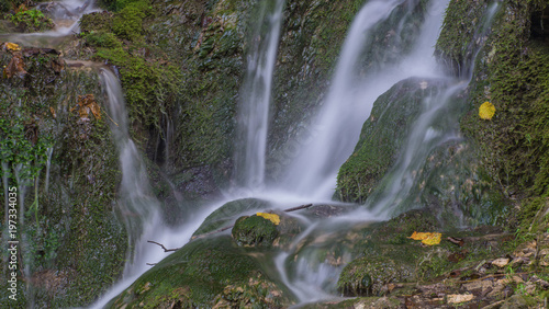 Waterfall in the forest. Green moss and stones.