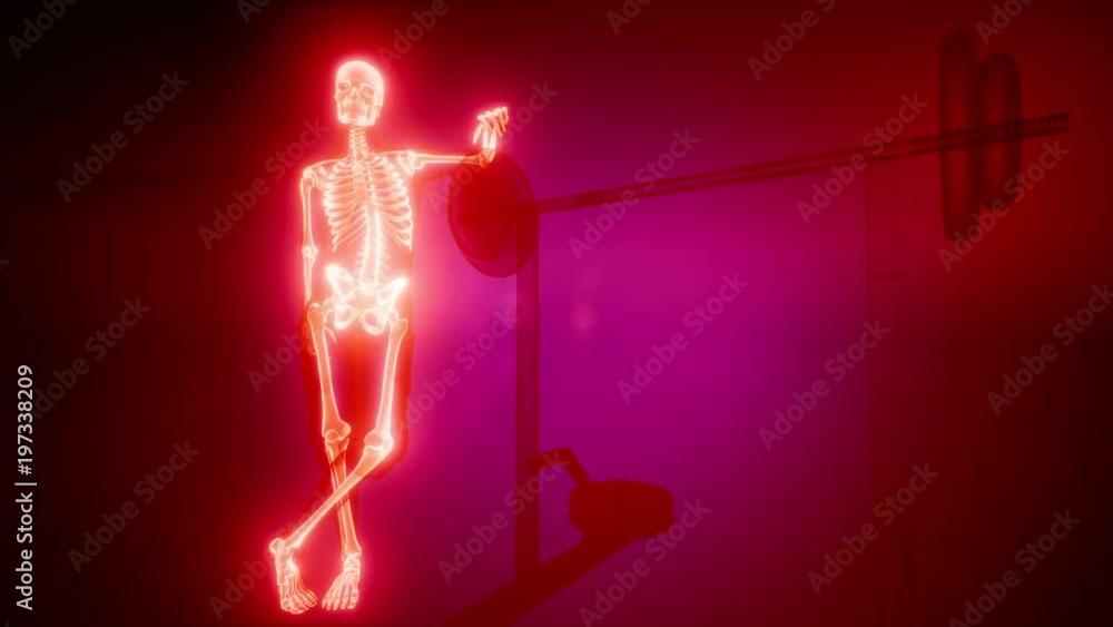 man in gym room with visible bones man in gym room with visible bones
