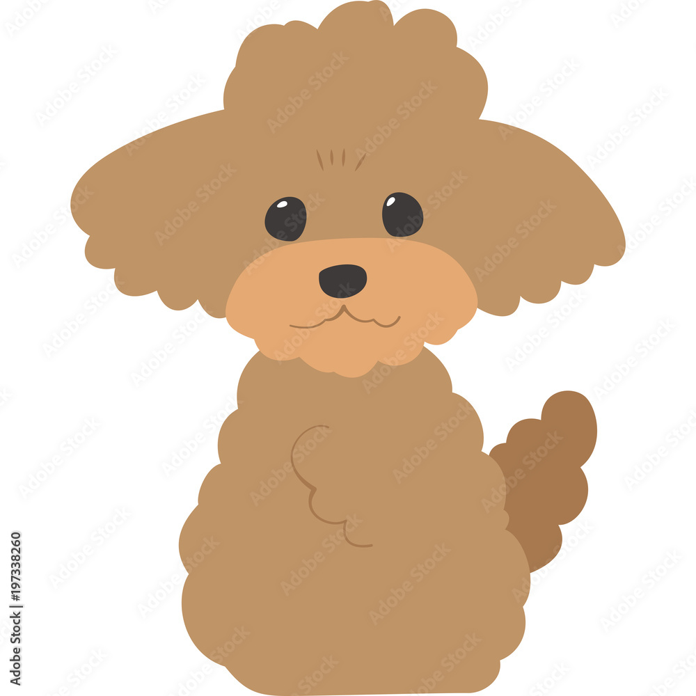 お座りしている犬(トイプードル) お座りしている犬(トイプードル)