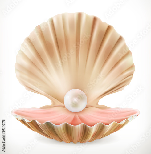 Fototapet Shell with pearl. Clam, oyster 3d vector icon
