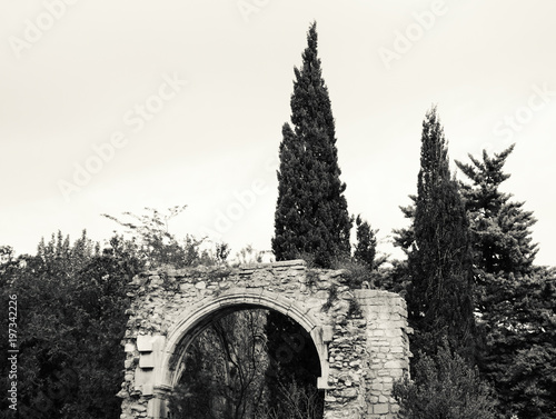 Church ruins and cyparis tree. Provence (France) Black and white photo. photo