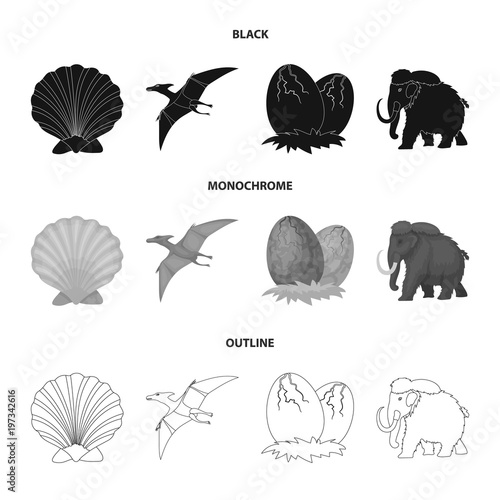 Prehistoric shell, dinosaur eggs,pterodactyl, mammoth. Dinosaur and prehistoric period set collection icons in black,monochrome,outline style vector symbol stock illustration web.