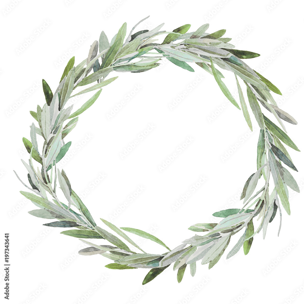 hand painted watercolor olive wreath, isolated on white background. Stock  Illustration | Adobe Stock