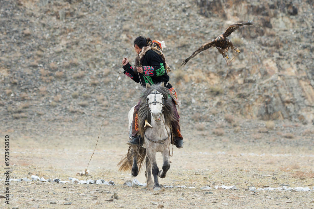 Unknown Mongolian Hunter ( So Called Berkutchi ) Astride On Horse And Flying Golden Eagle. Falconry In West Mongolia. Golden Eagle Attacks Prey. Mongolian Horseman With Golden Eagle