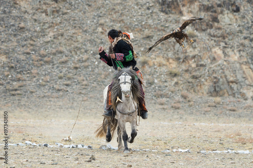 Unknown Mongolian Hunter ( So Called Berkutchi ) Astride On Horse And Flying Golden Eagle. Falconry In West Mongolia. Golden Eagle Attacks Prey. Mongolian Horseman With Golden Eagle
