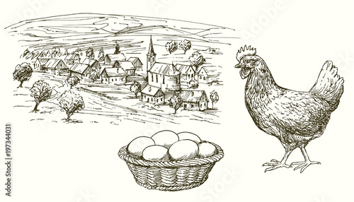 Hen, chicken, eggs in basket, rural village.