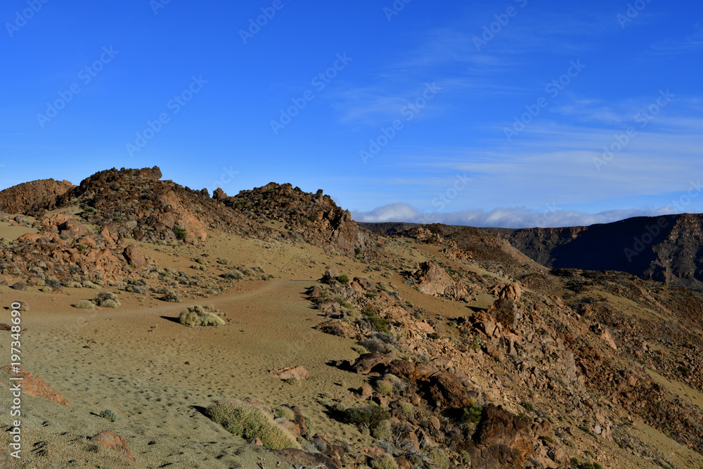 Dans la caldera  du volcan Teide