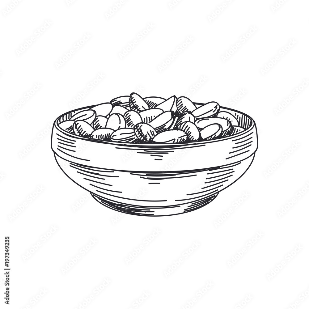3268442 Beautiful vector hand drawn Illustration. 3268442 Beautiful vector hand drawn Illustration.