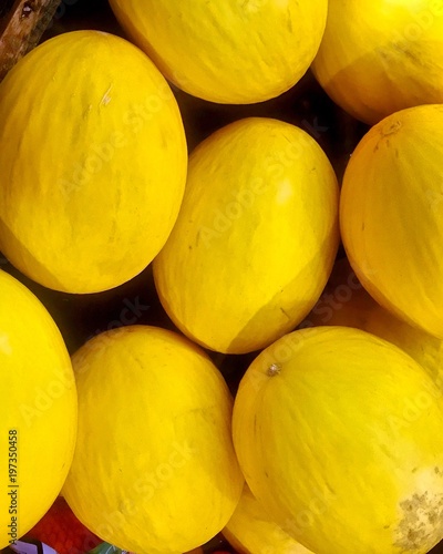 Beautiful yellow sweet cantaloupe melons, spanspek and rock melons, pile of exotic fruit at market stall, healthy home grown produce