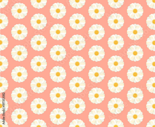seamless white daisy on pink background