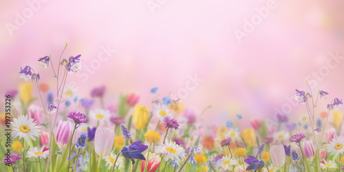 Background with wild flowers photo