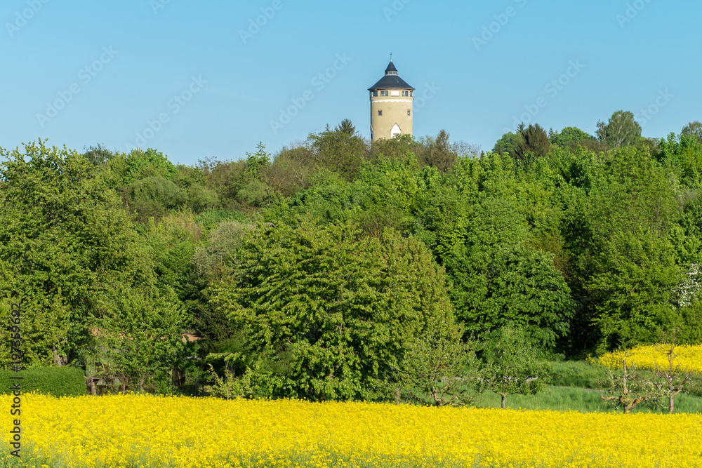 Rapsfeld und Wasserturm in Heilbronn