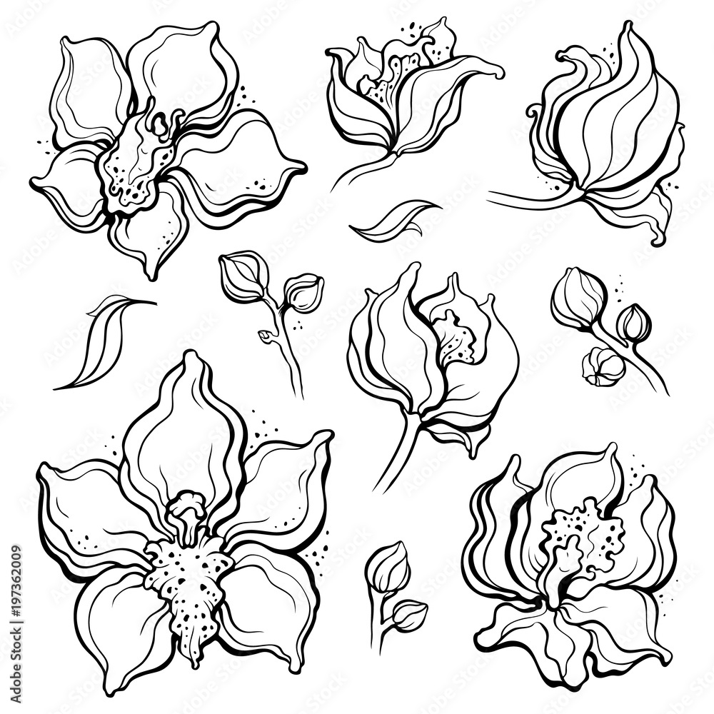 Floral pattern with Orchids. Beautiful golden seamless background. Elegant Hand Drawn vintage illustration Floral pattern with Orchids. Beautiful golden seamless background. Elegant Hand Drawn vintage illustration