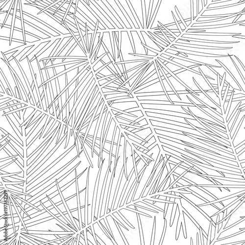 Tropical Leaves Outline on White Background