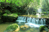 Scenic view of a cool refreshing waterfall hidden in a mysterious forest with sunlight shining through lush greenery and flowers fallen on mossy rocks ~ Beautiful river scenery of Taiwan in springtime