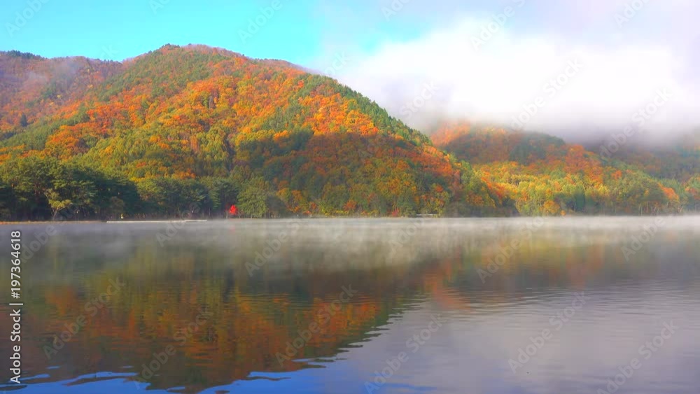 Foggy forest and lake at morning Foggy forest and lake at morning