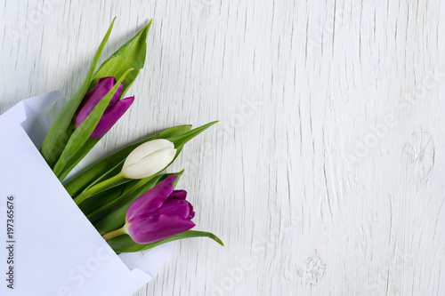 Fototapeta Naklejka Na Ścianę i Meble -  Beautiful tulips in a mail envelope. Greeting card. Copy space.